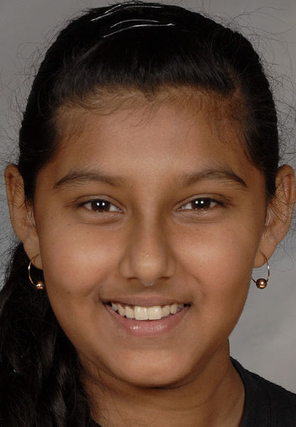 African american hero essay 05 picture