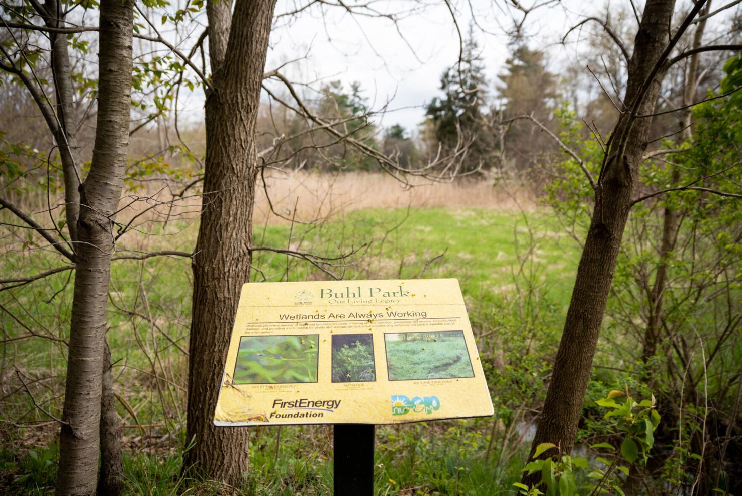 Buhl Park to upgrade wetlands Local News