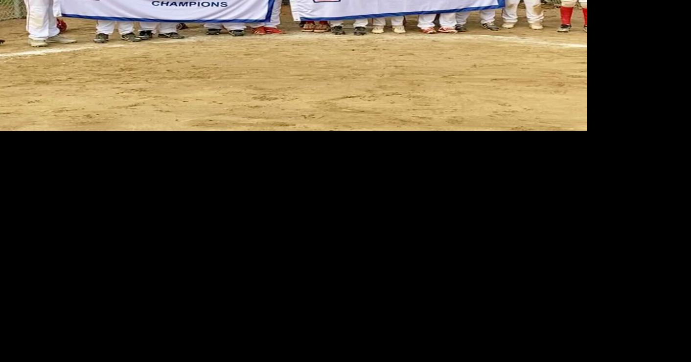 Little League Hermitage 11U AllStars advance to state tourney