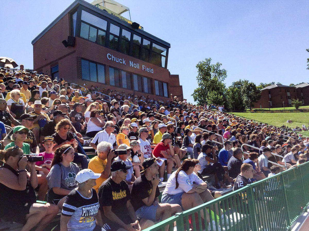 Steelers Browns Training Camp Capsules Sports Sharonherald Com