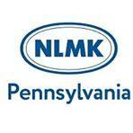nlmk logo.jpg