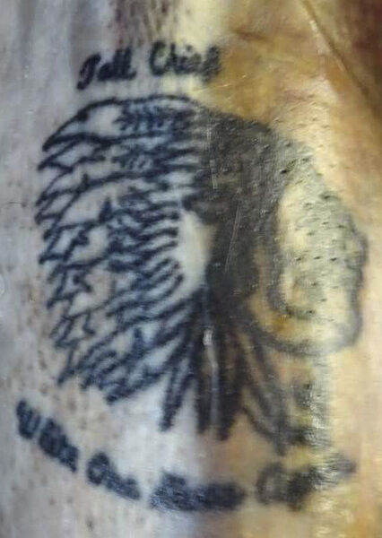 Update 54 tiger clue tattoo  thtantai2