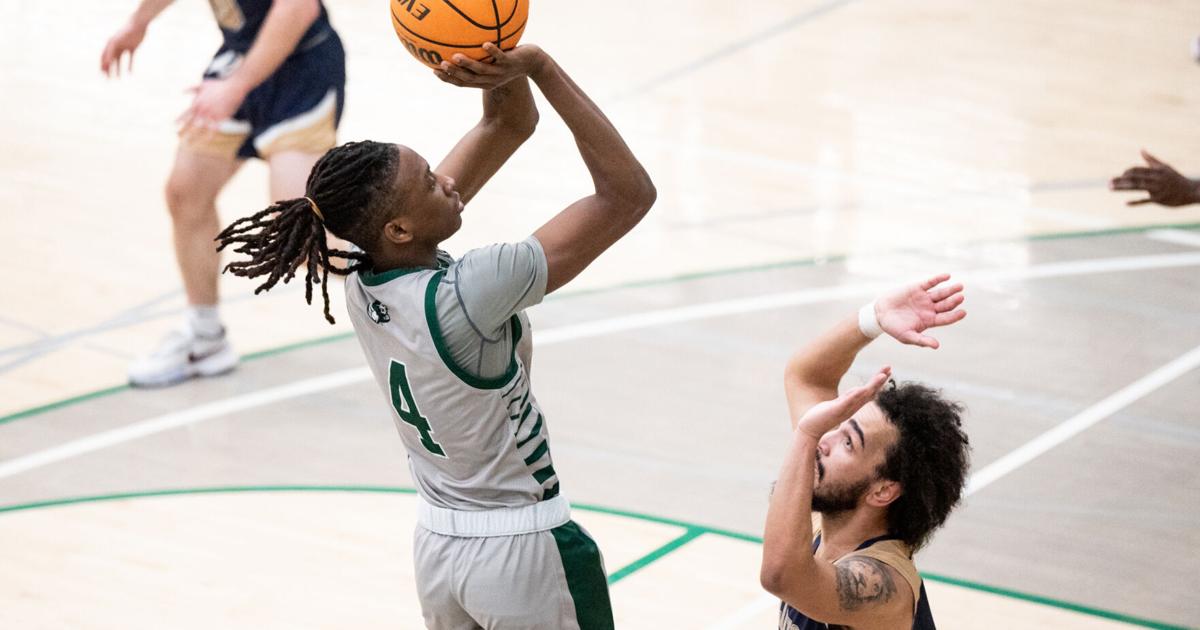 Sharon Mcfall McFall, Goings power The Rock men past Clarion, 54-50 | Sports ...