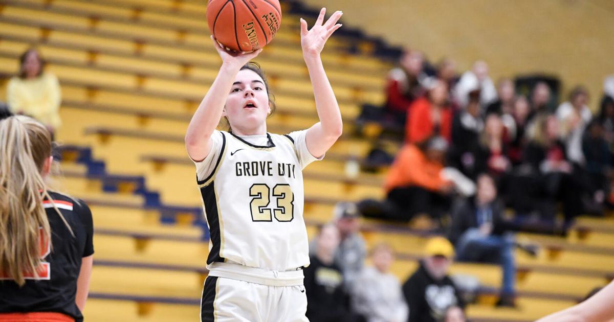 Roundup: GC boys rally to beat Beaver; Mercer-Grove City to play for ...
