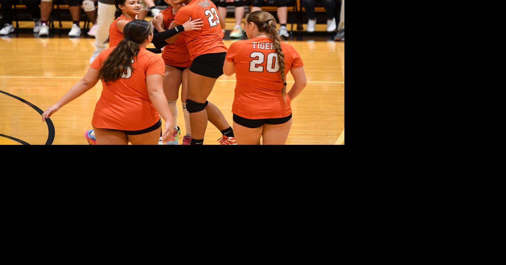 Sharon, Wilmington volleyball teams advance in the District 10 playoffs ...