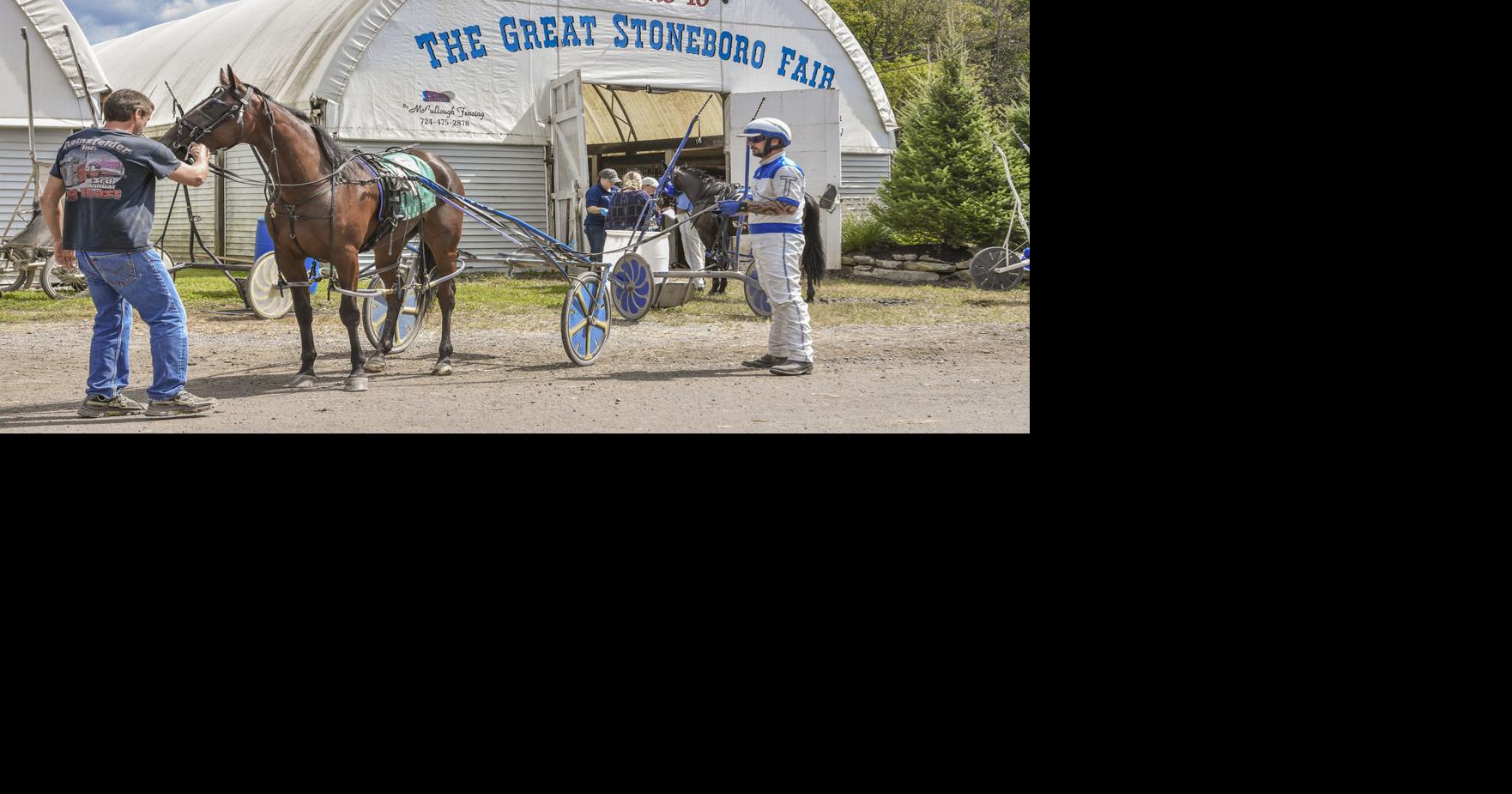 Harness racing still a go at Stoneboro fairgrounds News