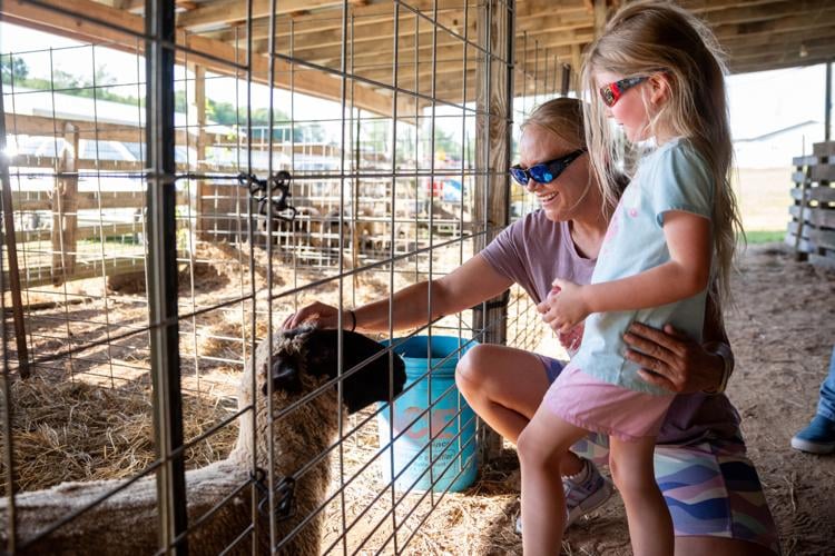 Grange Fair heads into full swing News