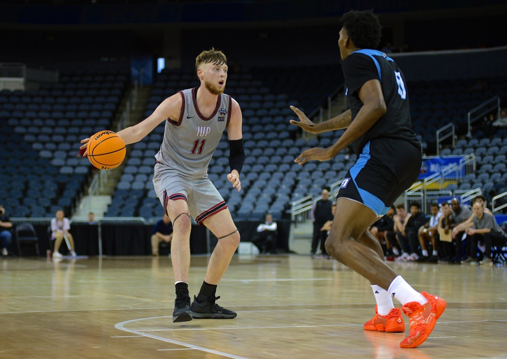 Magical Run For IUP Men's Basketball Team Ends In National Semifinals ...