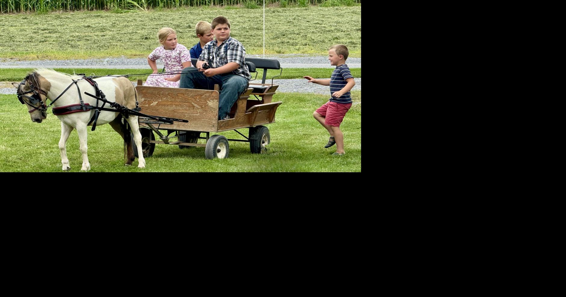 Family Fun Days at Sunny Ridge Markets Kim Spencer Aug 20, 2026 19 mins ago