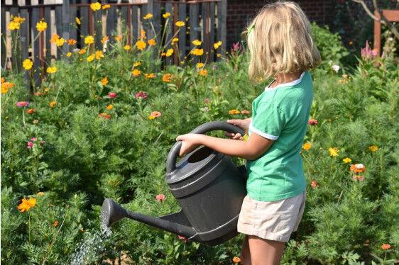 Penn State Master Gardeners To Offer Youth Summer Garden Camp Community News Shipnc Com