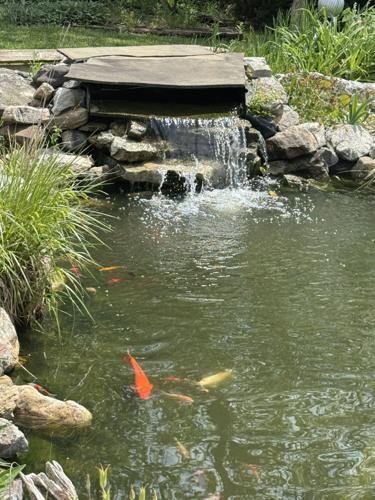 Twep Exploring the Tuscarora Wildlife Education Project; a BIG adventure in ...