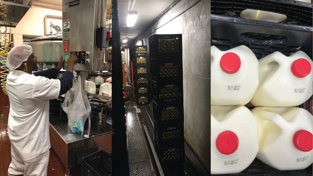 From cow to consumer A journey of Pennsylvania milk Free