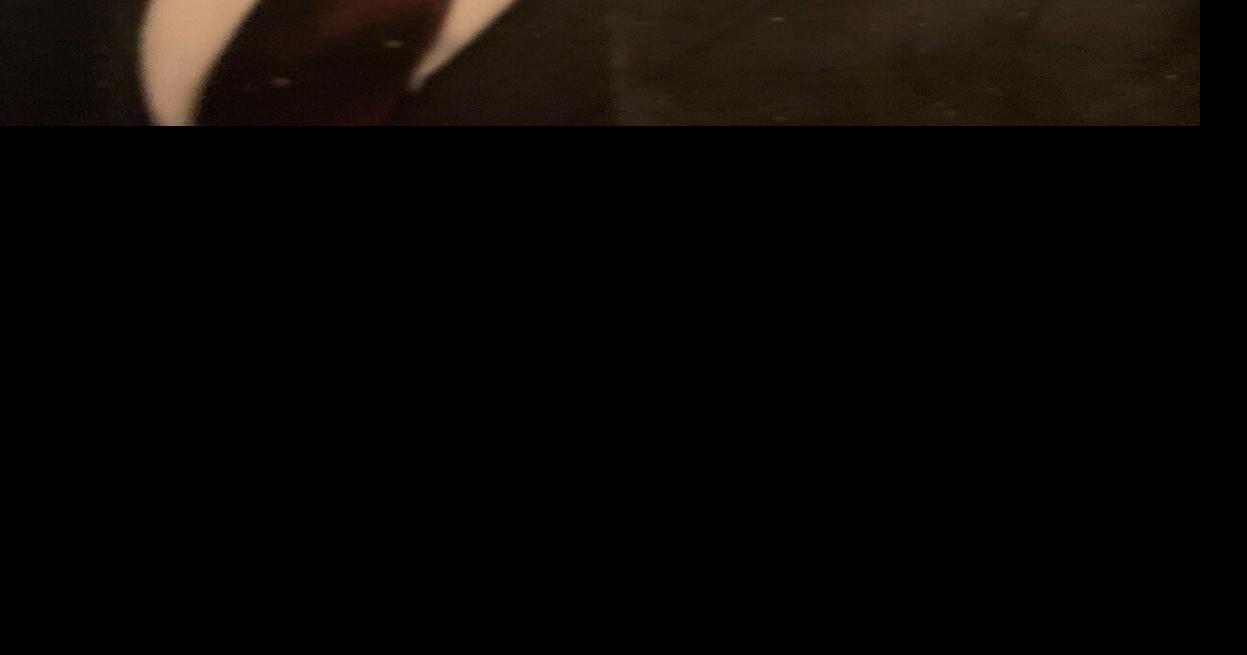 Dr. Lynn Adams of Shippensburg Obituaries