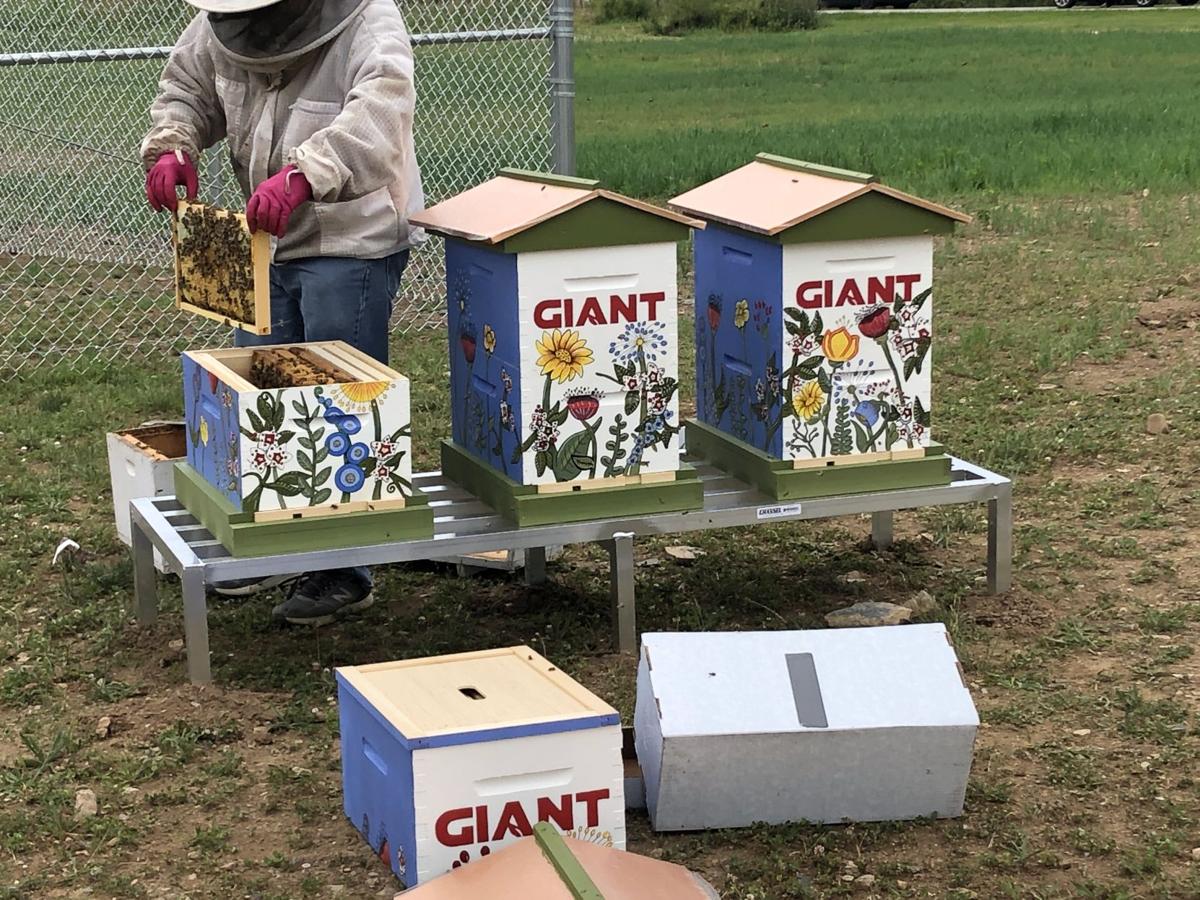 giant co completes 7 acre pollinator field at carlisle headquarters community news shipnc com the shippensburg news chronicle
