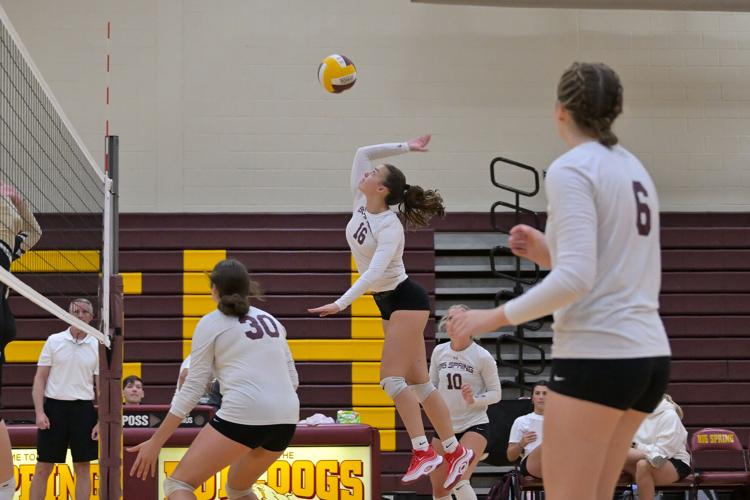 Bulldog Volleyball Opens With A Statement | Valley Times Star | shipnc.com