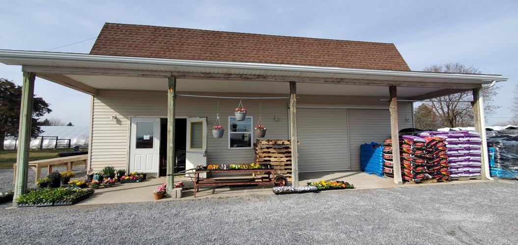 Spring is on the Way!