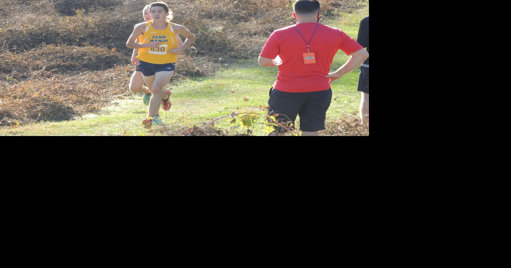 Area runners compete at PIAA Cross Country Championships | Vts Sports ...