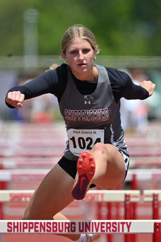 Greyhound Track At Districts Equals Medals, School Records, State ...