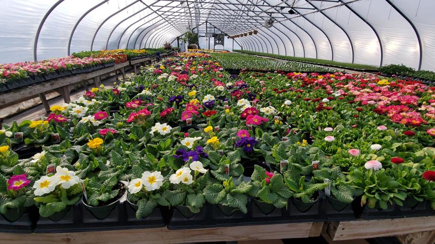 Spring is on the Way!