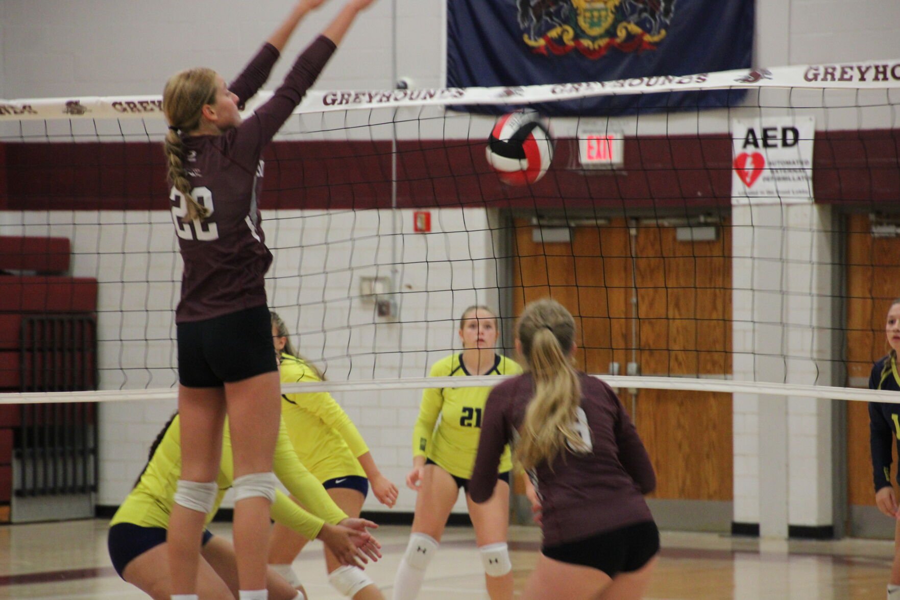 Lady Hounds Win Volleyball Opener Against Littlestown | Local News ...