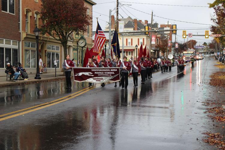 Veterans day news article