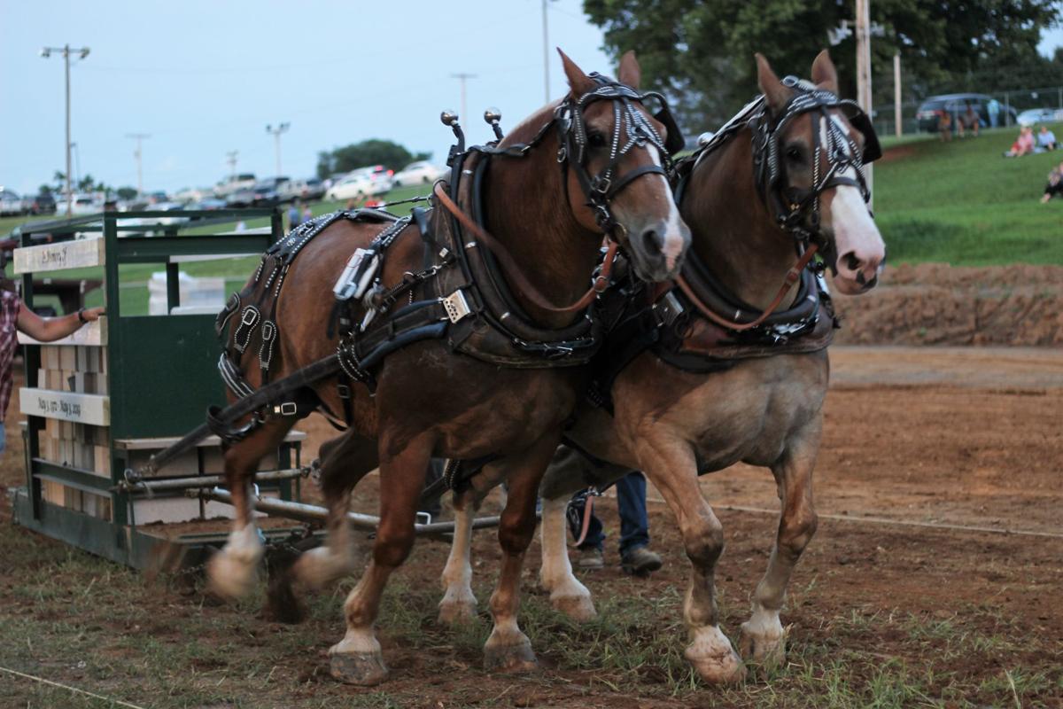 Horses pull their weight at the Shippensburg Fair | Free ... - 1200 x 800 jpeg 123kB