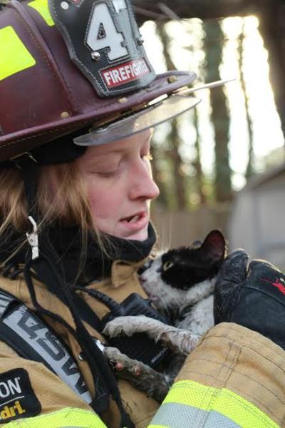 Four Displaced 1 Cat Rescued In Two Alarm Fire Local News