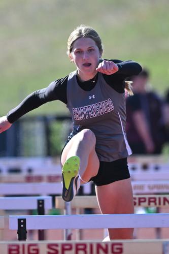 Greyhound Track And Field Splits Meet With The Bulldogs | Sports ...