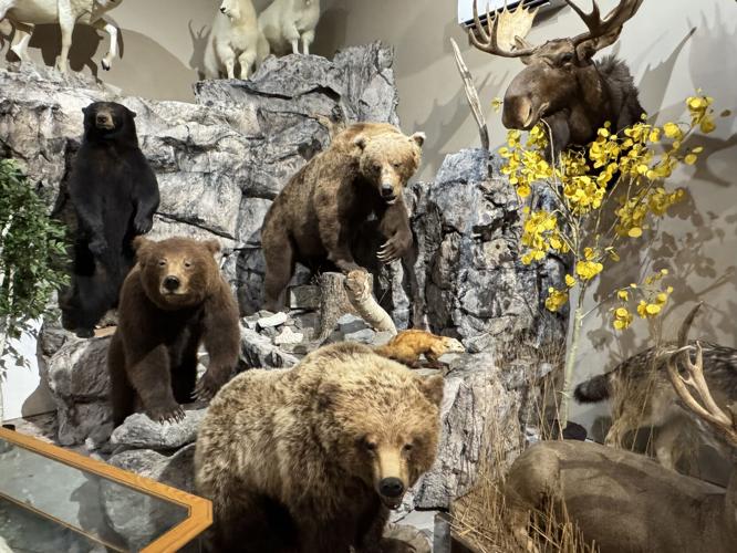 Twep Exploring the Tuscarora Wildlife Education Project; a BIG adventure in ...