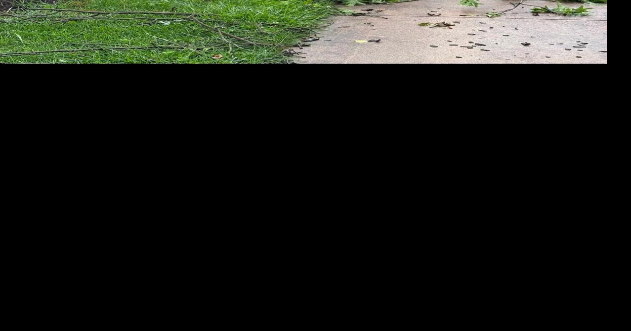 Friday Thunderstorms bring down trees around town Denny Clopper Aug 13, 2026 10 mins ago