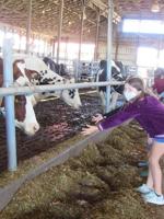 Have some fun on the farm this Saturday at the Franklin Fall Farm Fun Fest!