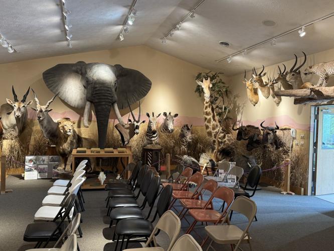 Twep Exploring the Tuscarora Wildlife Education Project; a BIG adventure in ...