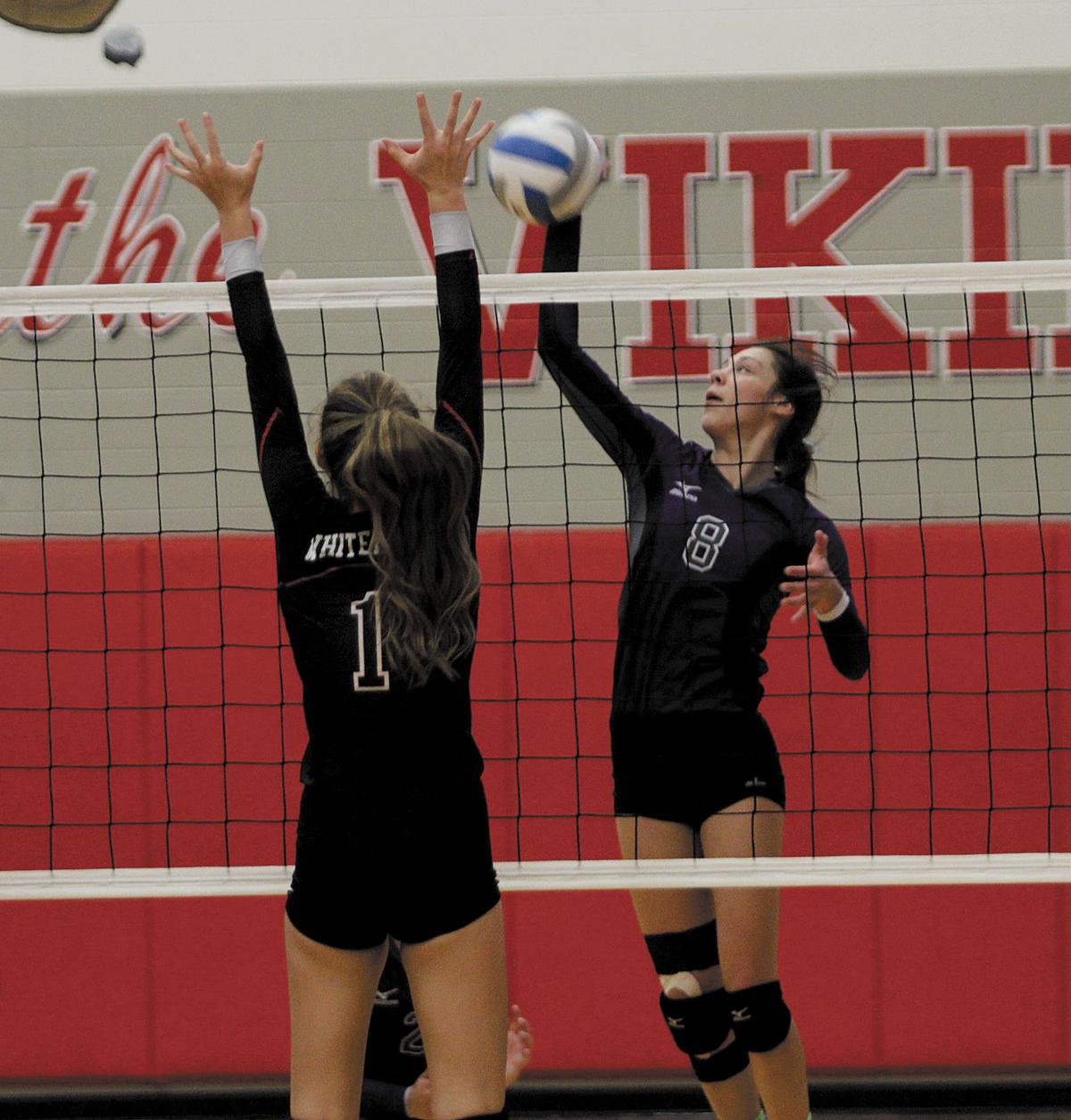 9.8.sp.shel vb 1.jpg