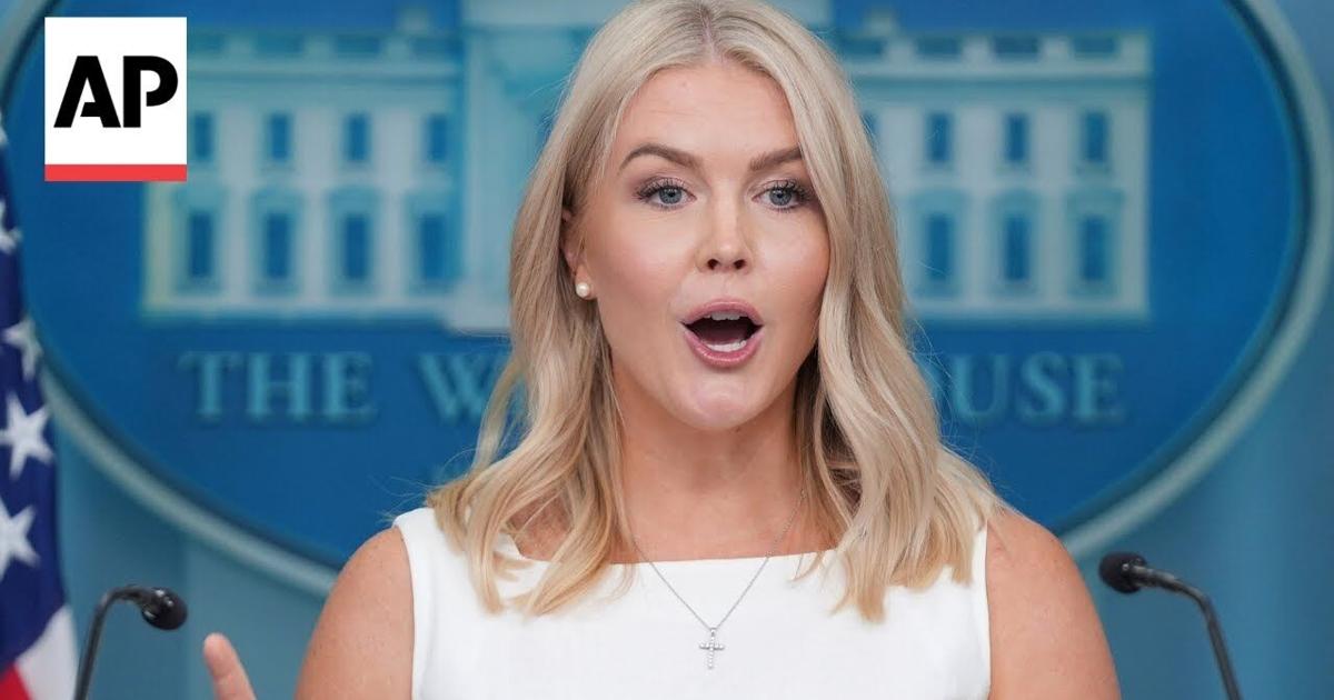 Putin promised Trump he'd have a direct meeting with Zelenskyy, Karoline Leavitt says