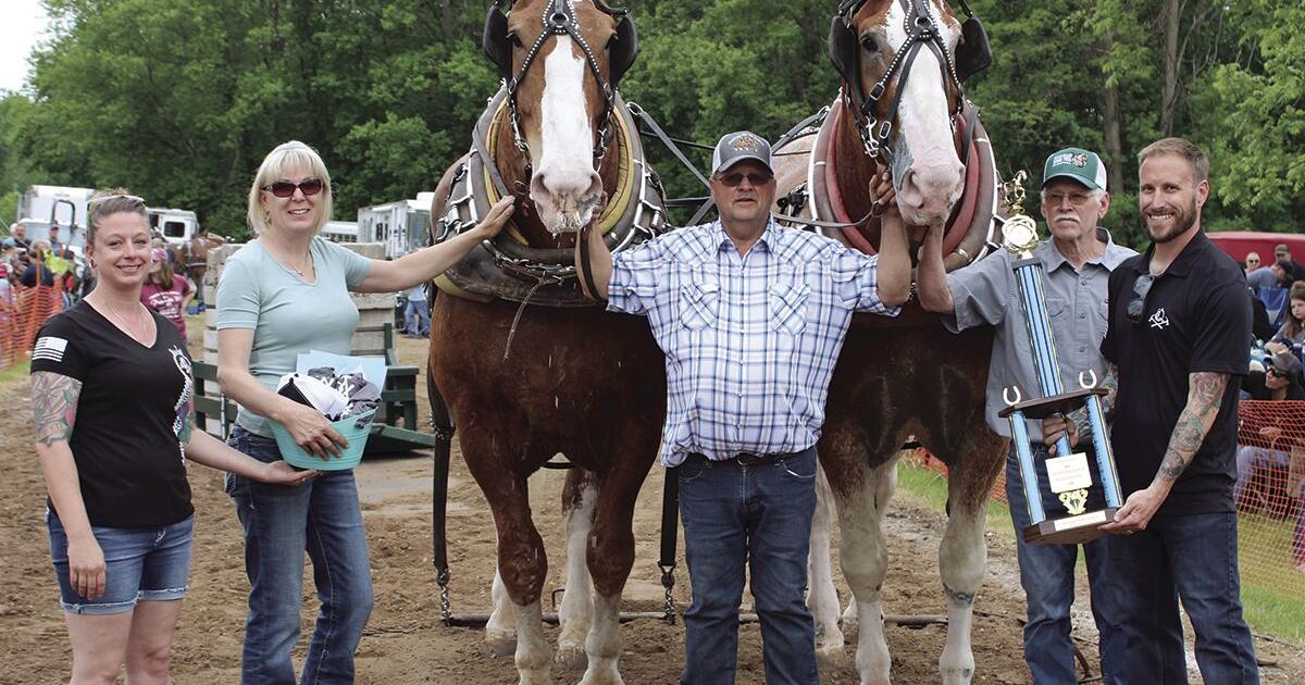 Whole lot of horsepower on display in Fountain - Vimarsana News