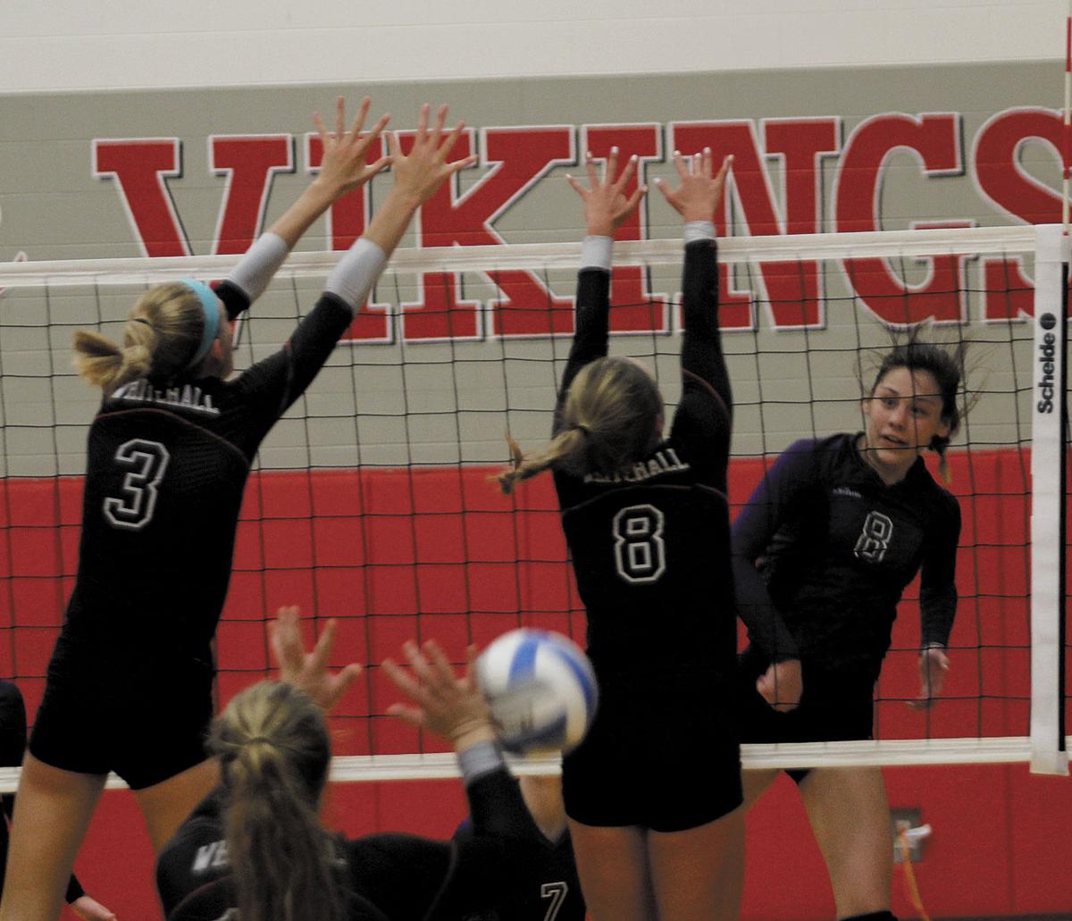 9.8.sp.shel vb 4.jpg