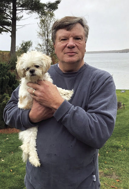 lost dogs reunited with owners