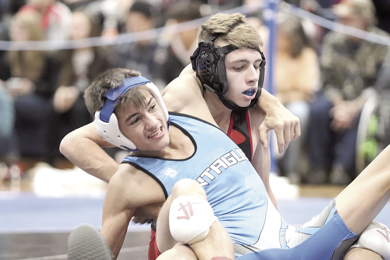 cat singlet wrestling