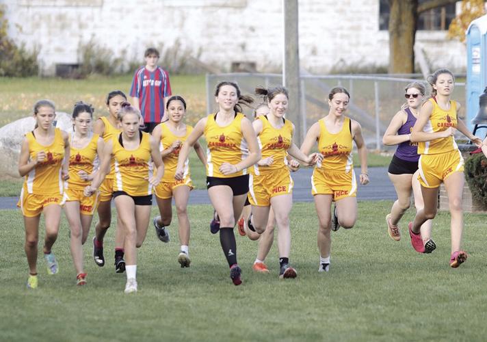 Mason County Eastern hosts the Cardinal Classic Invite and wins both the  boys and girls cross country race | Ludington Daily News |  shorelinemedia.net