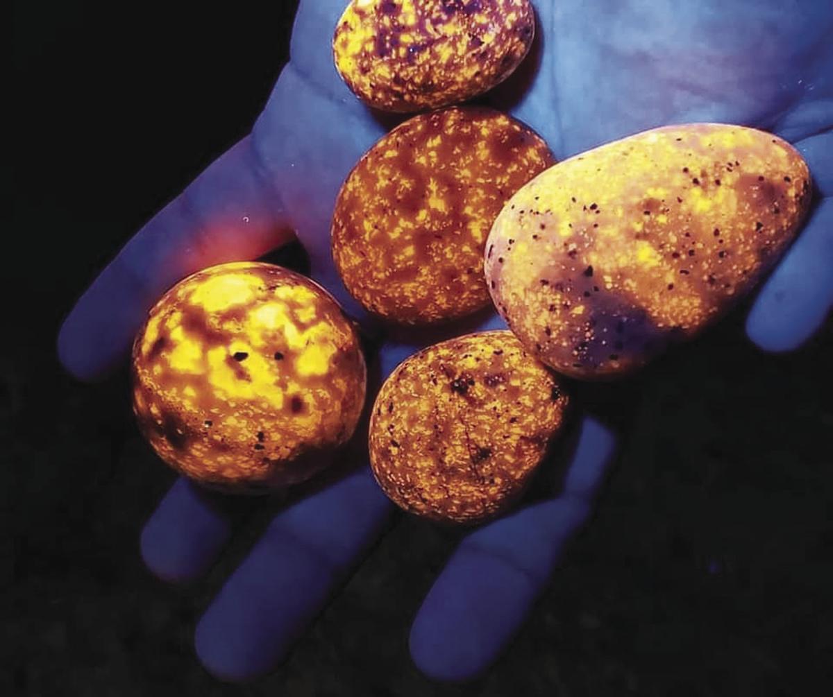 Know The Glow Yooperlite Discoverer To Talk At Rock Club News Shorelinemedia Net