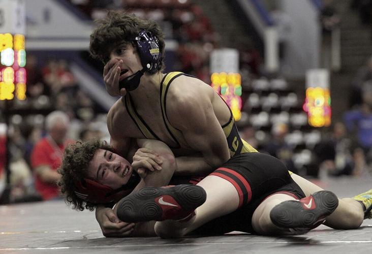 Whitehall wrestling makes 2nd state finals trip in 3 years | Sports ...