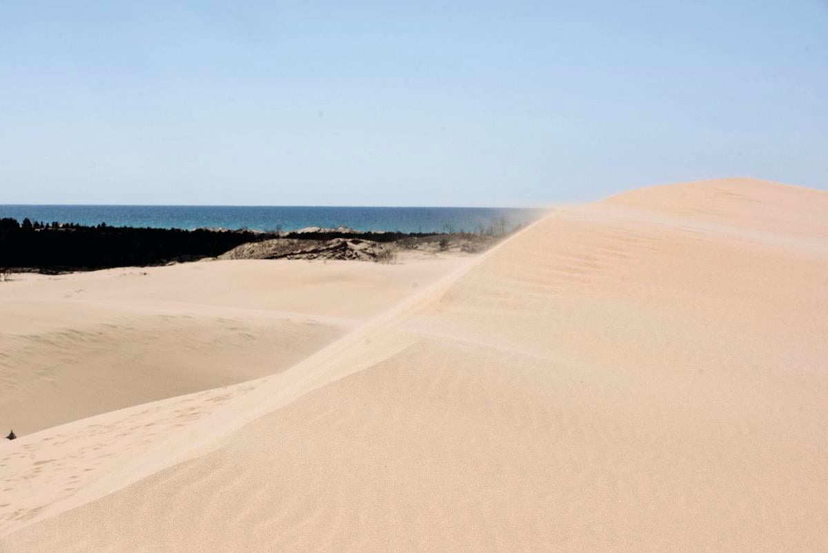 Finding path off beaten track in sand dunes | Coronavirus