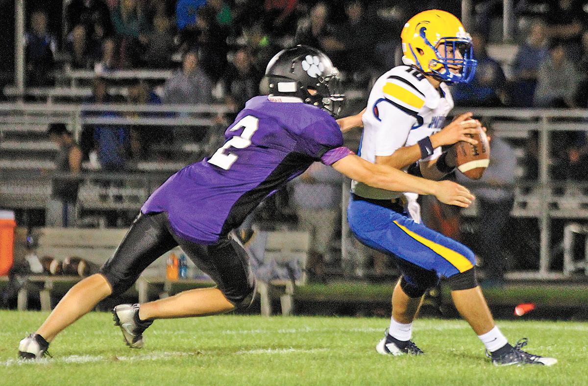 sp.p-s.Shelby v mcc fb 2.jpg