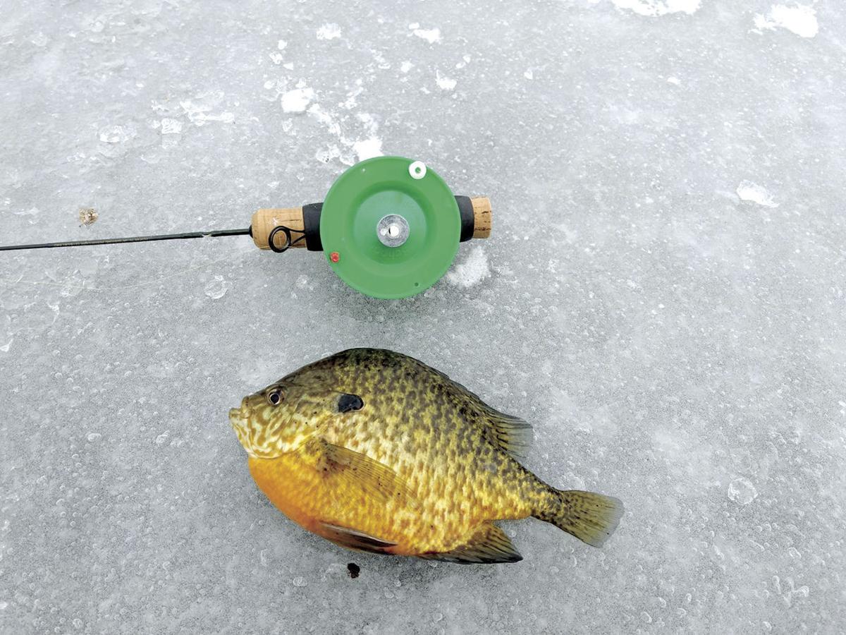 Go-To Lure Choices for Ice Panfish 
