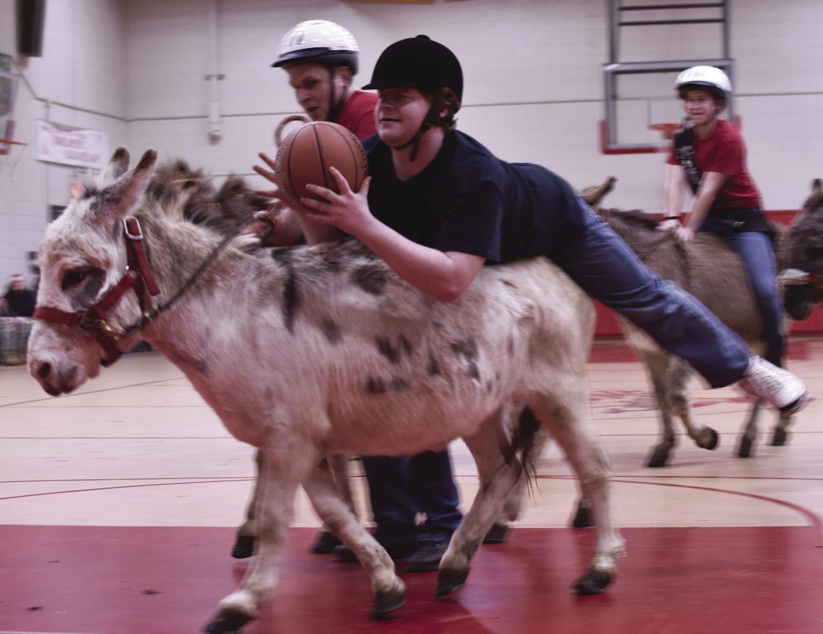 Donkey Basketball Attracts Crowd At Mce News Shorelinemedia Net