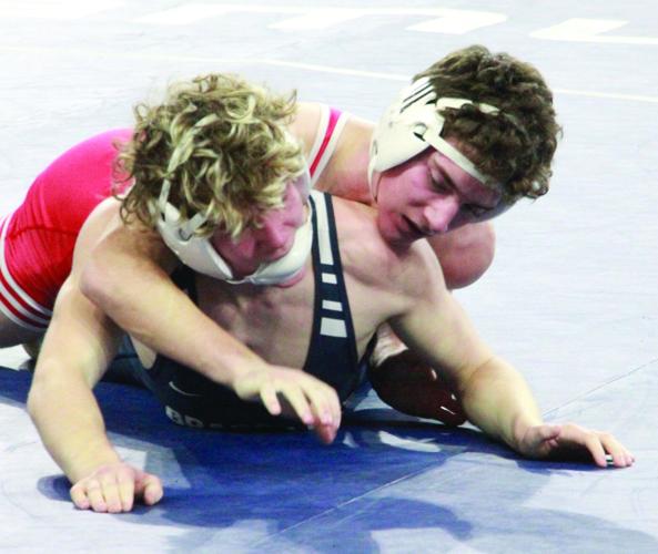 Whitehall's Kassie Sapp finishes first at MHSAA individual wrestling ...