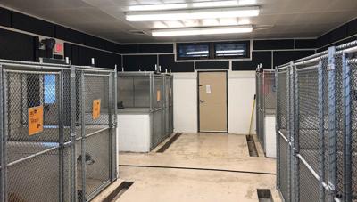 Mason County Mutts Completes Soundproofing At Animal Control