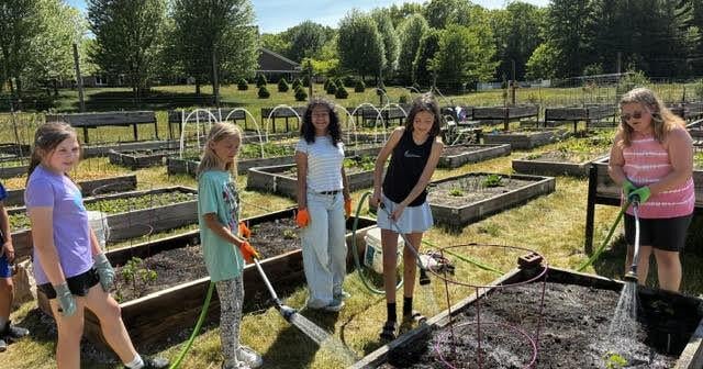 Reaping the rewards of gardening
