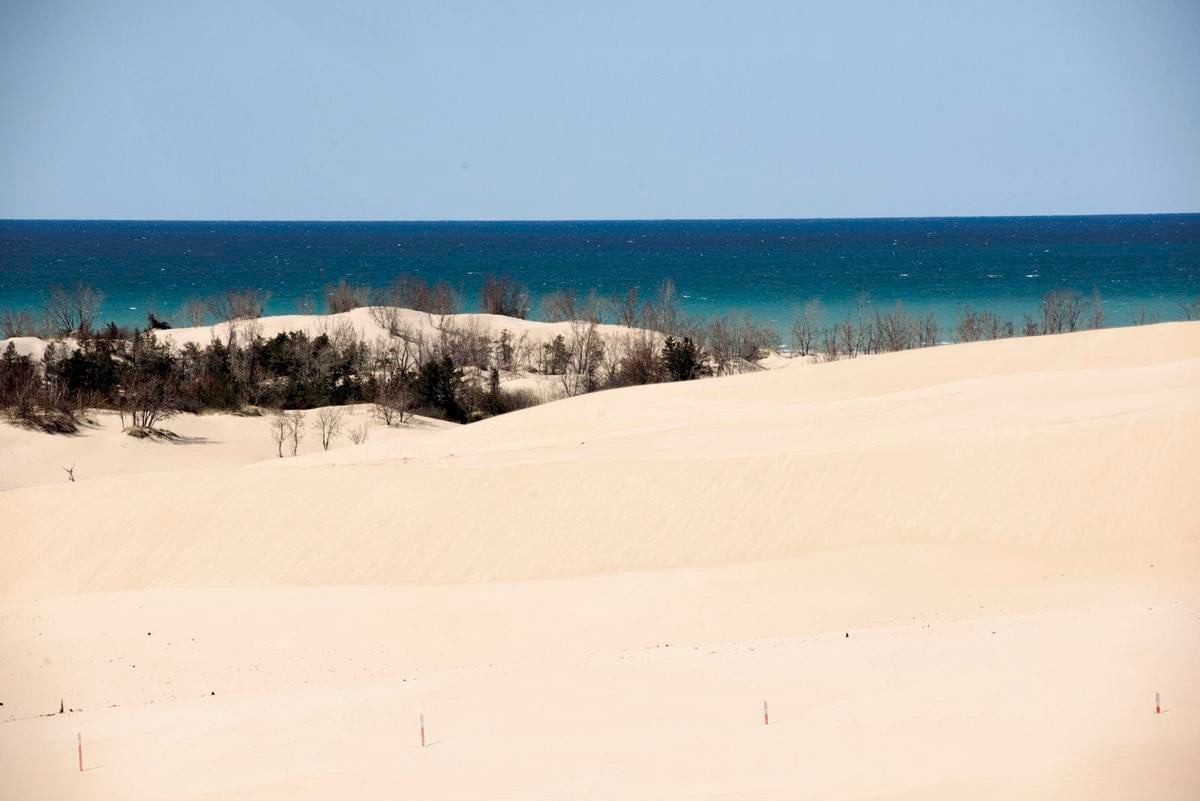 Finding path off beaten track in sand dunes | Coronavirus