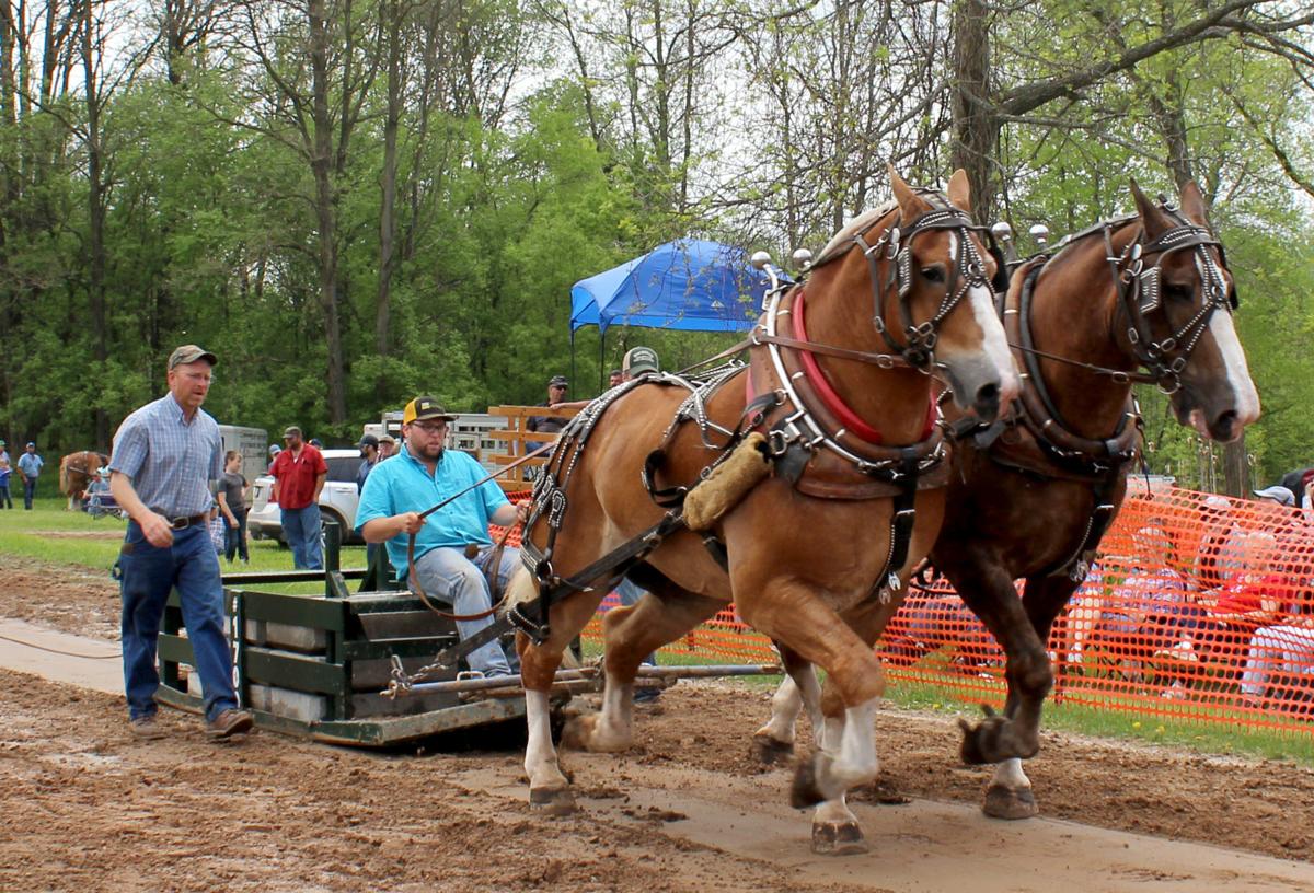 Fountain Horse Pull is a laidback event for everyone News